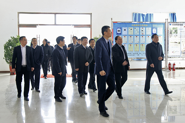 热烈欢迎省市经信委领导莅临中煤集团调研指导