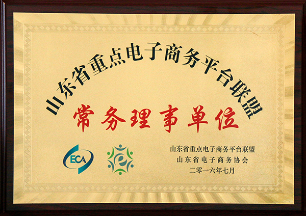 热烈祝贺中煤集团当选山东省重点电子商务平台联盟常务理事单位 